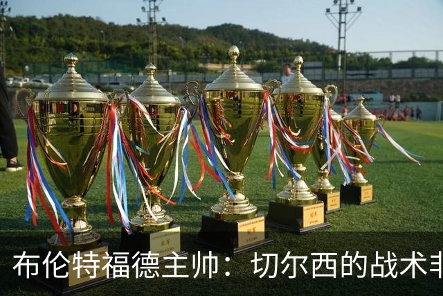 布伦特福德主帅：切尔西的战术非常有针对性 我们赛季开局确实好